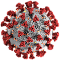 wirusy biorezonans